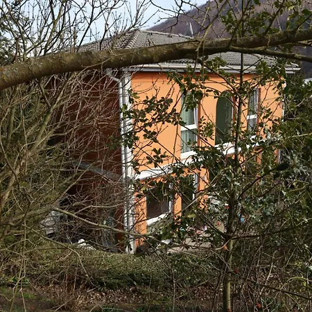 House With Terrace And Garden Near Vienna *
